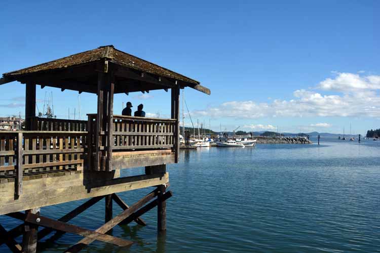 marina scene